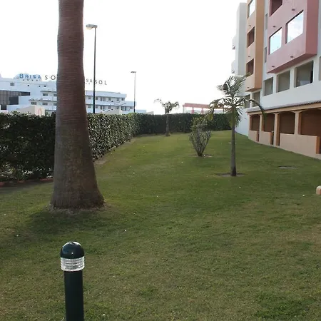 Xavilla 8 *